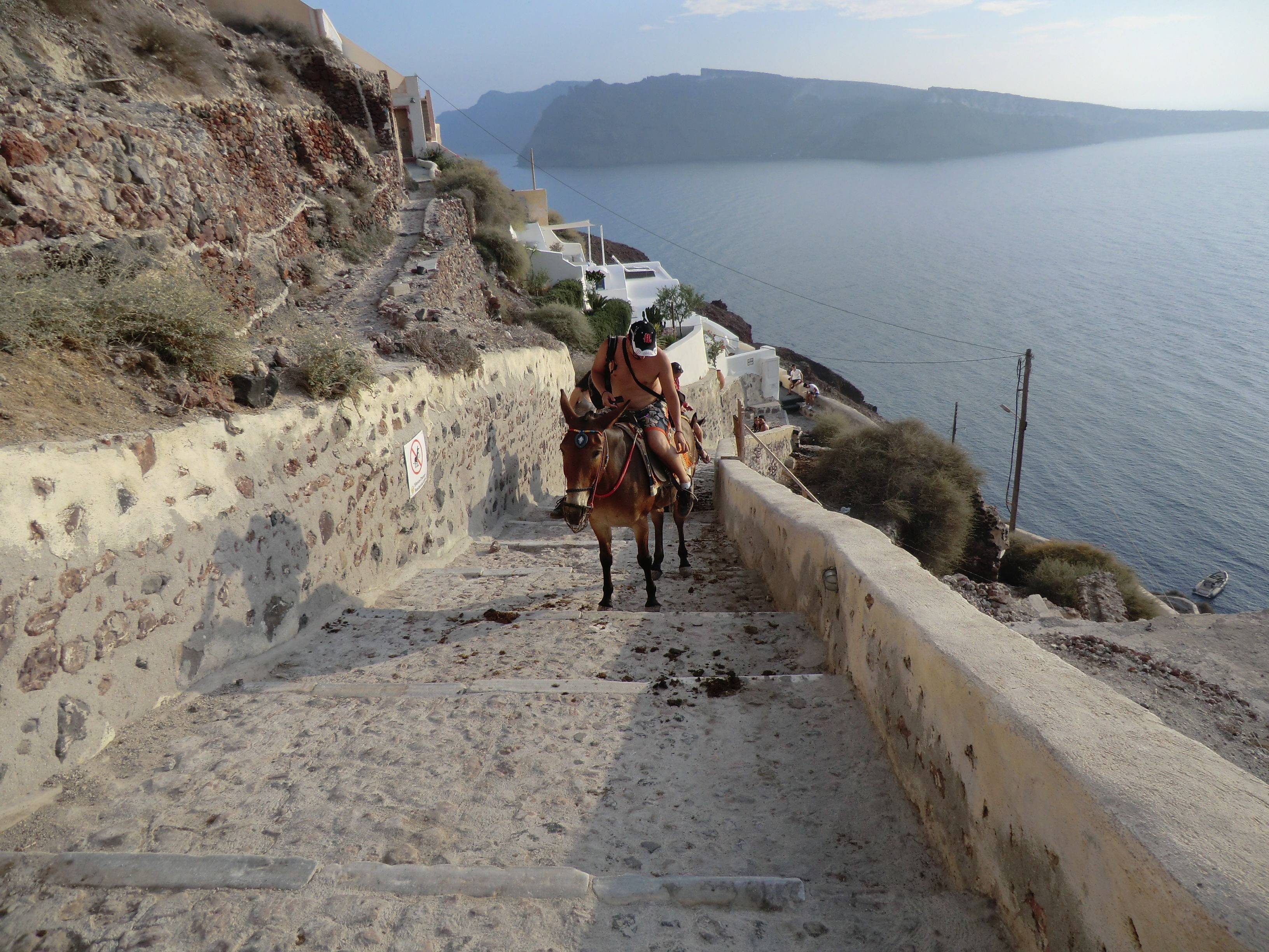 世俱杯分组-匈牙利挑战希腊，中欧劲旅对攻！