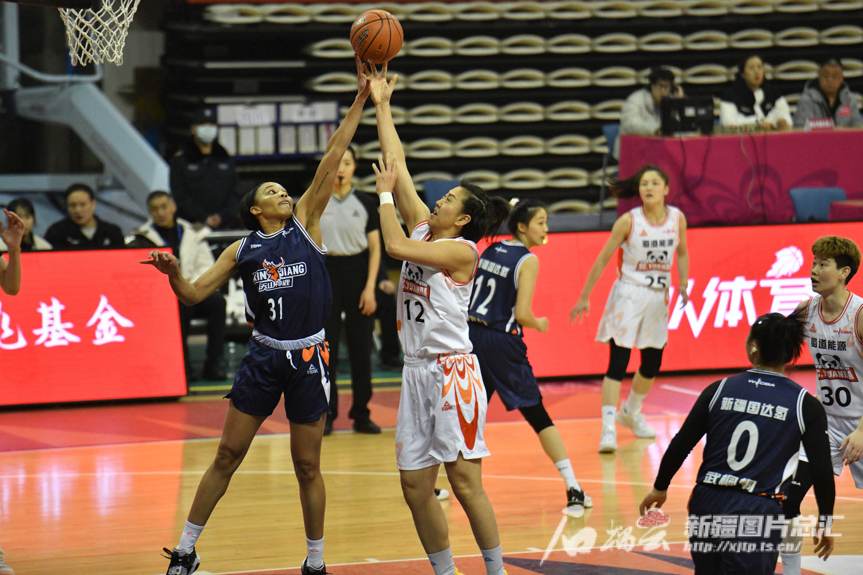 新疆女篮官宣外援加盟，团队整体状态进一步提升