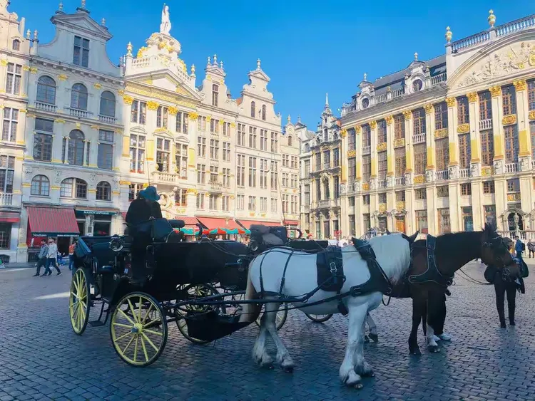 世俱杯冠军-卢森堡运动员备战积累实战经验，备战计划有序