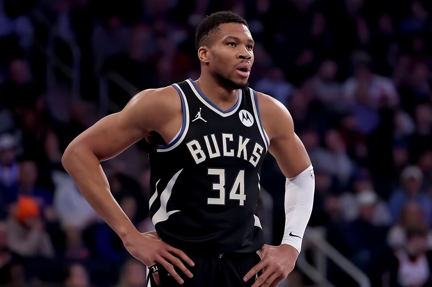 雄鹿主帅布登霍尔泽当选最佳教练